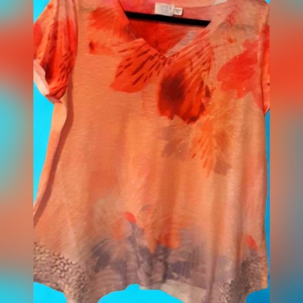 PRICE DROP Ladies Top